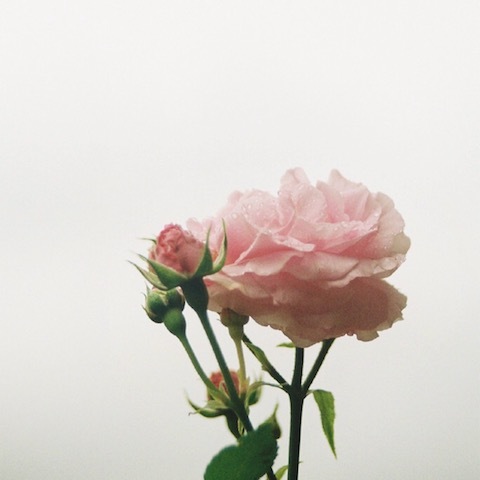 定番のこと_d0364239_20562117.jpg