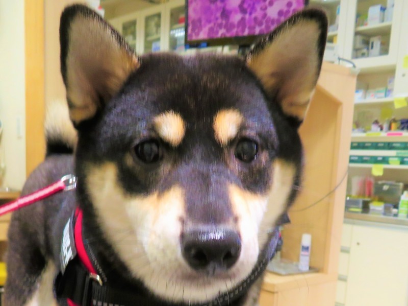 c0174644_12060942.jpg
