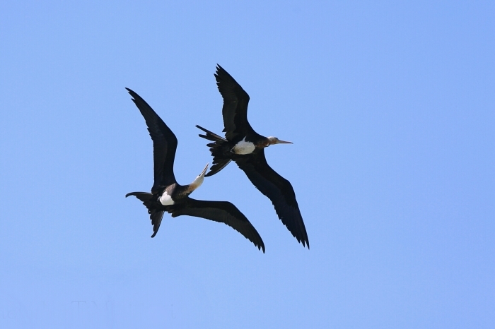 c0212450_21081776.jpg