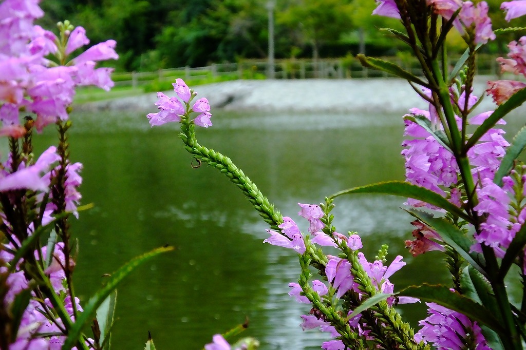 b0236251_14051200.jpg