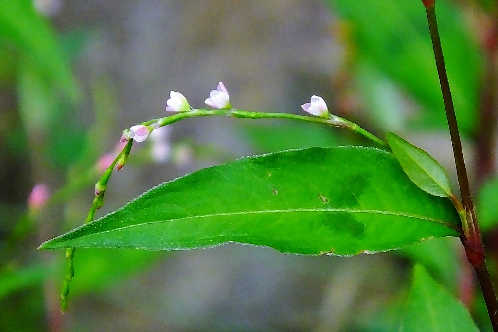 b0236251_14080502.jpg