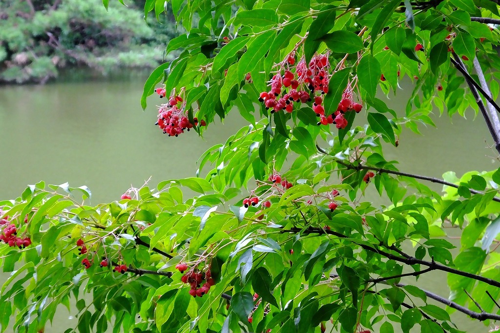 b0236251_14110470.jpg