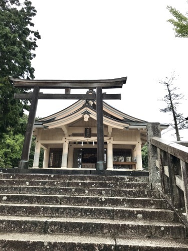 b0307951_17442946.jpeg