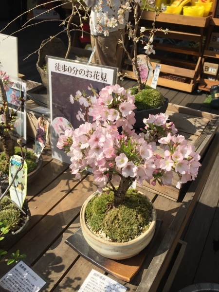 b0230152_16360027.jpeg