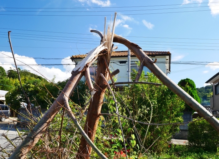 　　熊野古道・紀伊路　　２０１８-０９-３０　００：００_b0093754_23135593.jpg