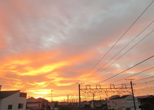 季節が過ぎていく_d0369759_11483208.jpg