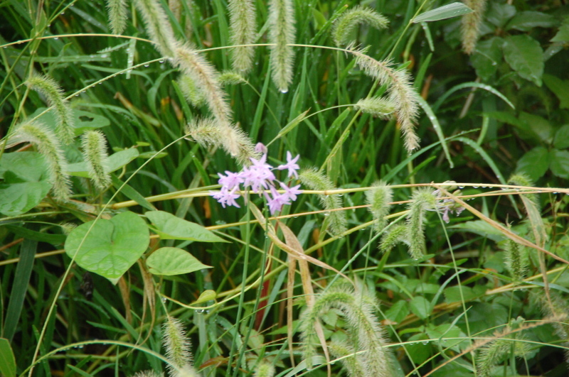 c0108460_13065522.jpg