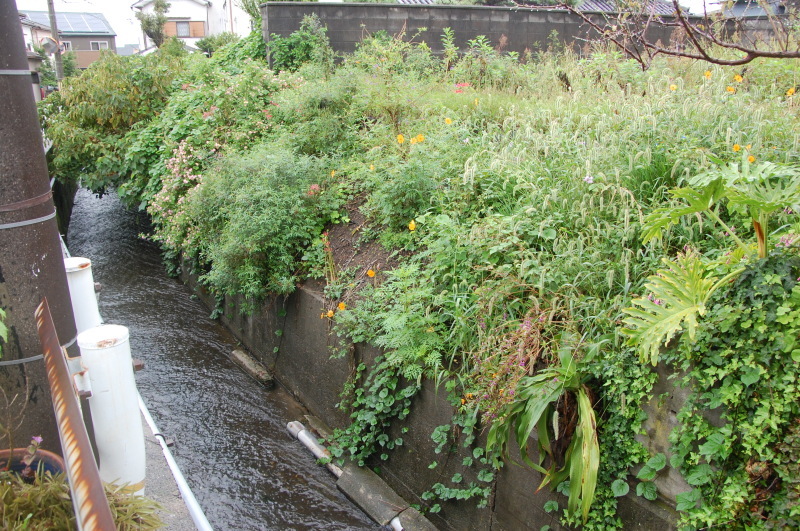 c0108460_13065557.jpg