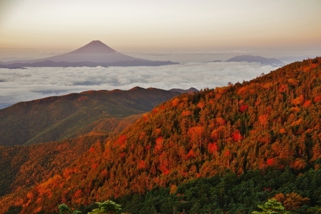 最新富士山の撮影記録_d0229560_13212932.jpg