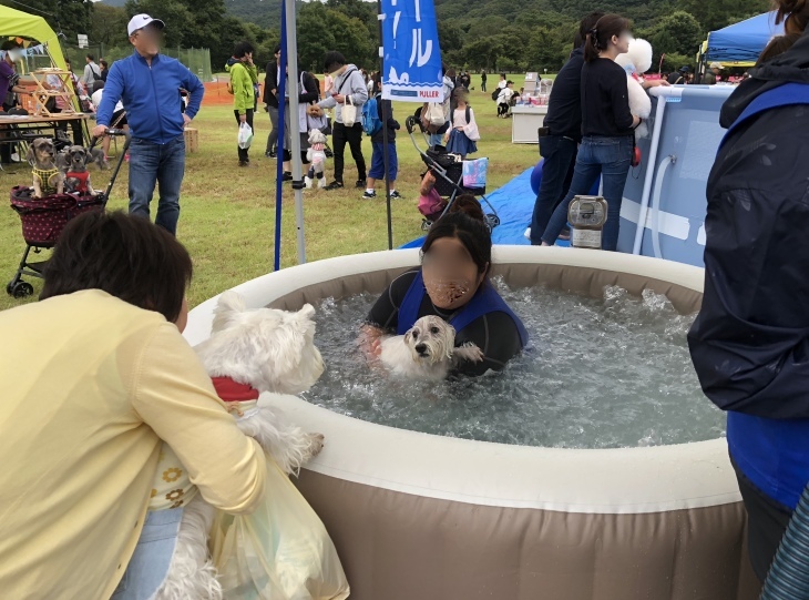 f0363961_14515596.jpeg