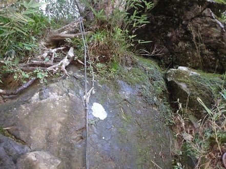 c0303868_04420470.jpg