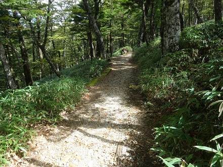 c0303868_04510515.jpg