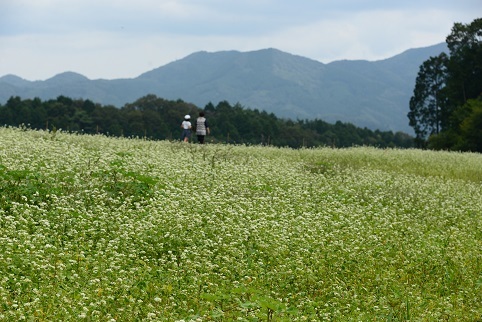 c0303868_04525035.jpg