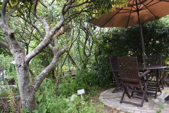 b0242873_00494310.jpg