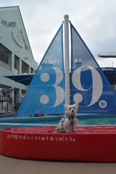 b0242873_09542762.jpg