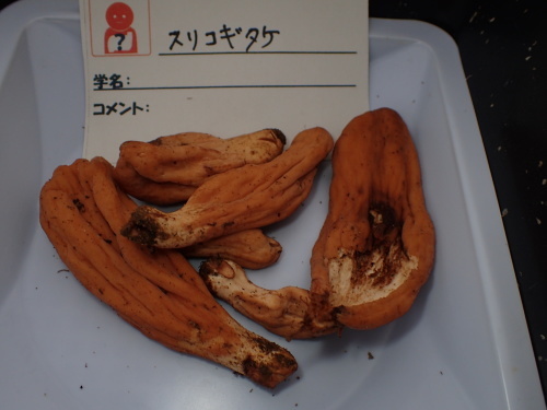 f0348480_16543296.jpg