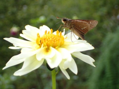 f0348480_17143924.jpg