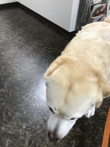 f0315081_22344593.jpeg