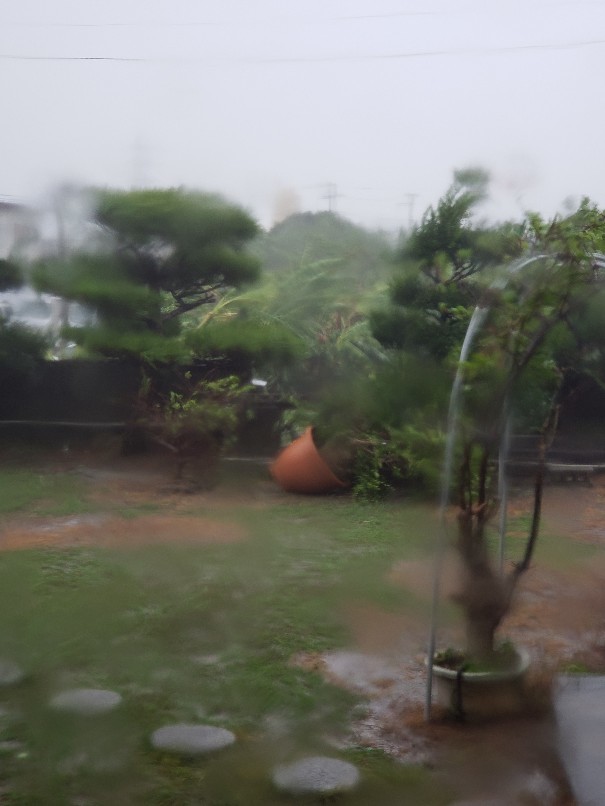 台風24号 暴風域今季最大_a0378186_08233538.jpg