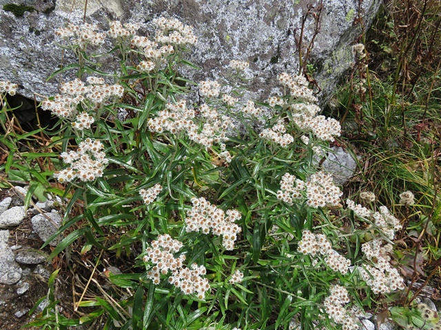 f0357487_21271688.jpg