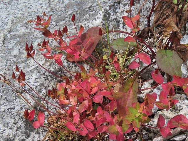f0357487_21310528.jpg