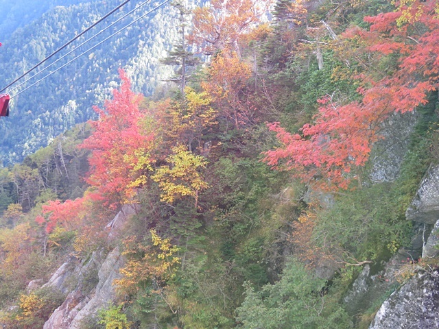 f0357487_22370575.jpg