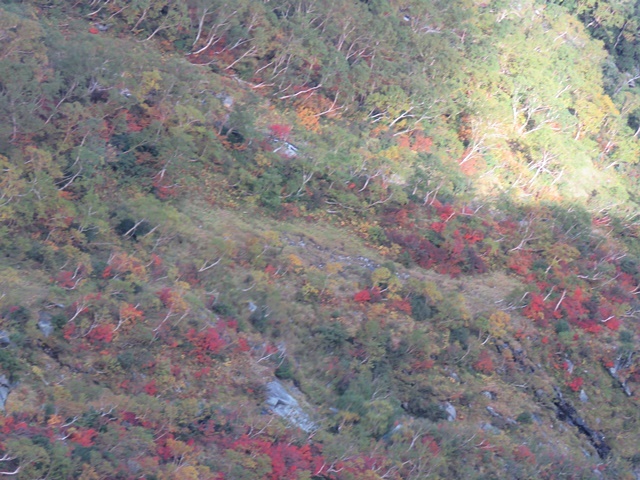 f0357487_22371923.jpg