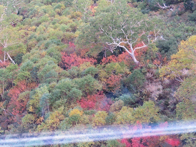 f0357487_22373485.jpg