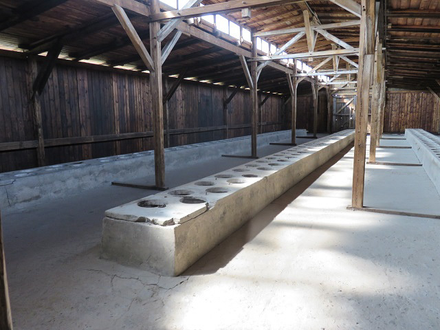 f0346196_16205222.jpg