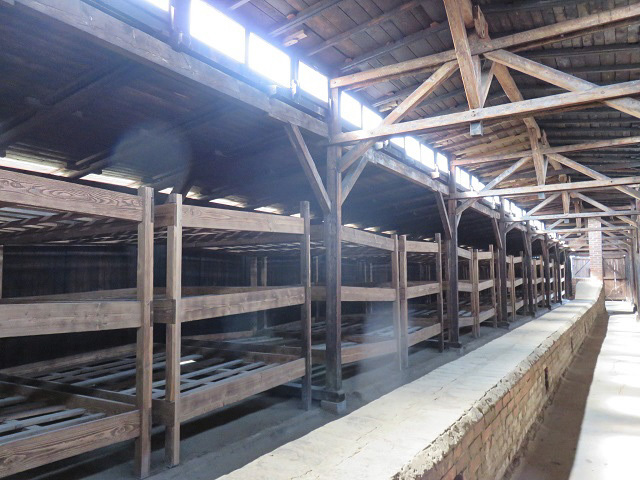 f0346196_16234785.jpg