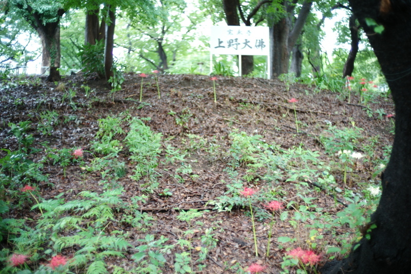 b0352397_15154135.jpg