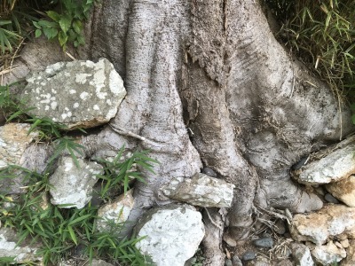f0308898_10373057.jpg