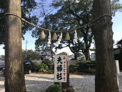 f0308898_10490626.jpg
