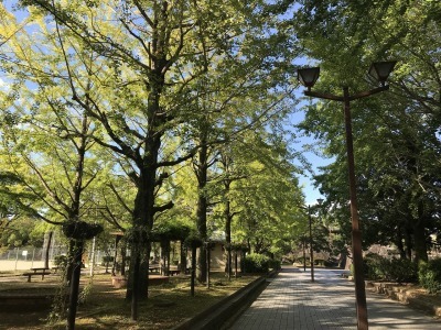 f0308898_10550267.jpg