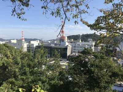 f0308898_10580082.jpg