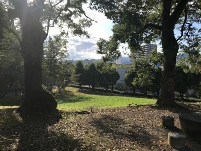 f0308898_10585650.jpg