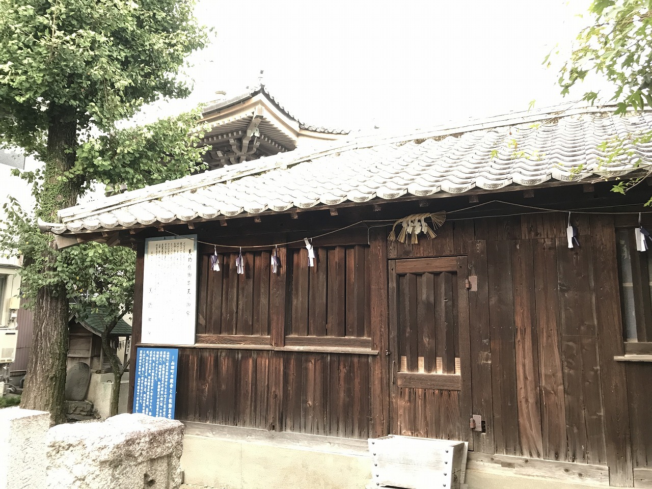 f0308898_11030079.jpg