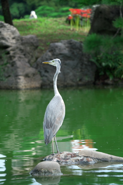 f0233999_14483032.jpg