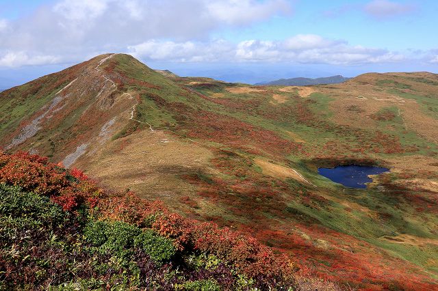 e0137200_12112698.jpg