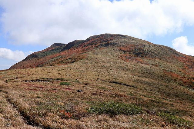 e0137200_12133732.jpg