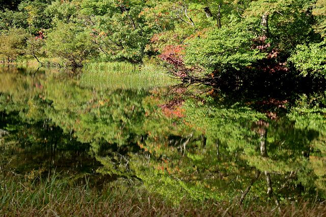 e0137200_1214157.jpg