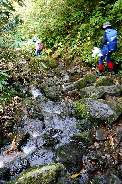e0137200_1214475.jpg