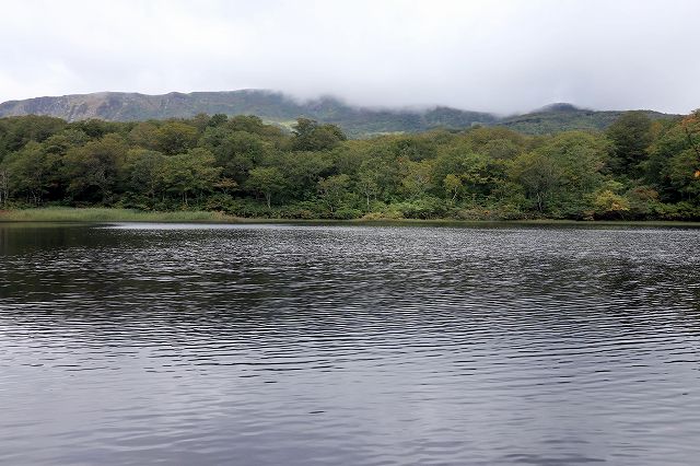 e0137200_1231446.jpg