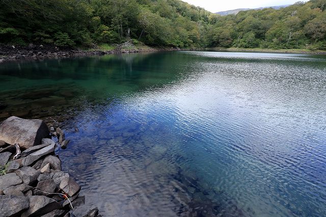 e0137200_1241454.jpg