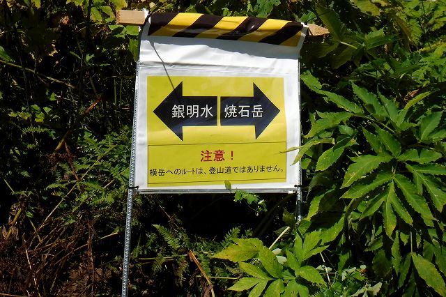 e0137200_1253145.jpg