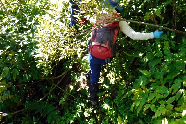 e0137200_1261136.jpg