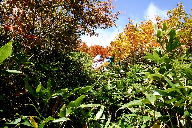e0137200_1273159.jpg