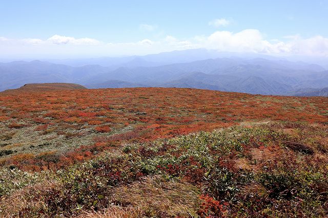 e0137200_1283523.jpg