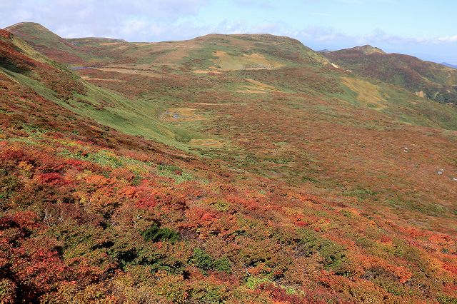 e0137200_1291215.jpg