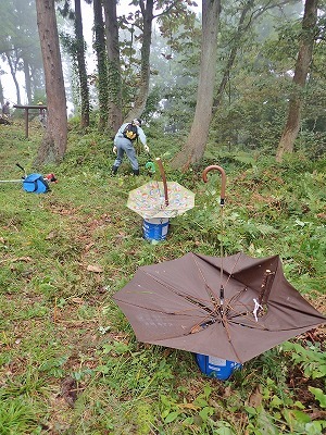 土曜日の朝は浦佐城址の登山道整備でした_c0336902_13260616.jpg
